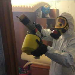 Уничтожение клопов в квартире. Злынка